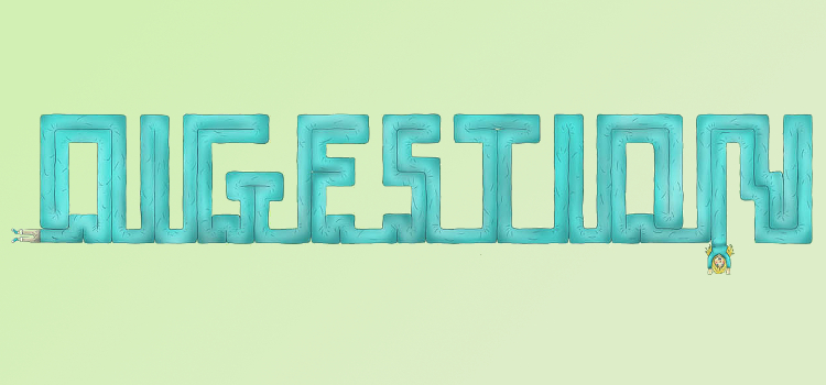 Bannière miniature de Digestion
